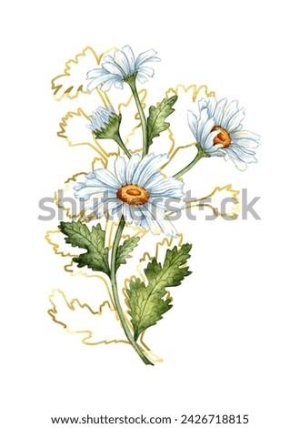 Watercolor illustration sprig of white daisies, buds, leaves and brown outlines. Isolated flower arrangement of daisies on the meadow. Ideal for wedding invitations, packaging, stickers, scrapbooking