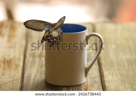 A butterfly sits on a coffee cup placed on a wooden table.