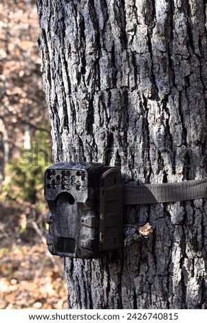 Game camera, or trail camera set up on an oak tree at the wood line, near a deer trail.