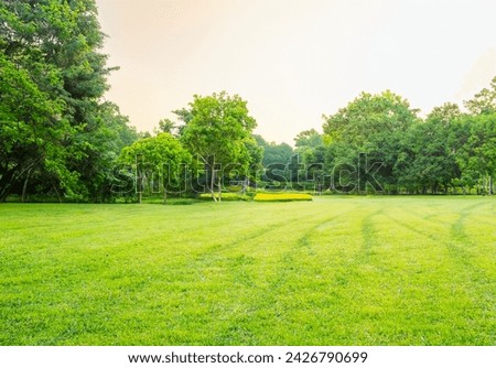 Green grass field lawn with tree and blue sky Green Meadows Beautiful Journey Through Nature Great as a background, web banner