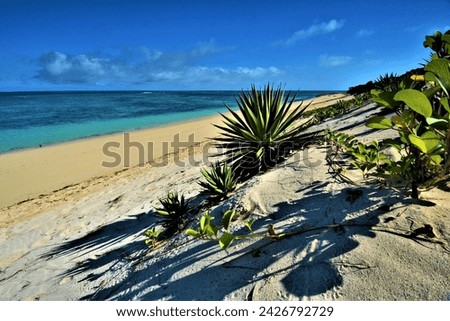 Sunny day on a sandy beach in Anakao (35 km south of Toliara, southwest coast of Madagascar) Royalty-Free Stock Photo #2426792729