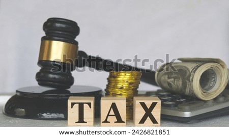 Tax court handles financial crimes related to tax evasion, fraud, and illegal financial activities, ensuring justice and compliance.
