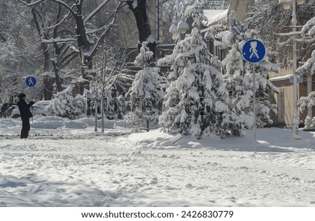a snow-covered city street, trees, road signs and a black silhouette of a man