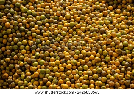 Freshly picked oranges in a juice factory - stock photo