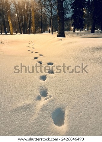 Foot steps on the deep snow, evening city park
