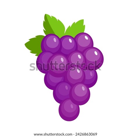 Vector grape icon, illustration of purple fruit with leaf isolated of white background, wine grape logo symbol in flat cartoon style Royalty-Free Stock Photo #2426863069