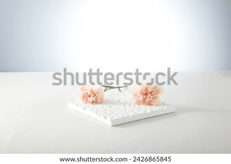 A white square podium against light grey background. With beautiful spring flower. An empty platform for display cosmetic products, food and props.