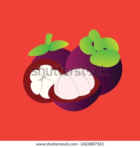 Purple Mangosteen Fruit Isolated Vector