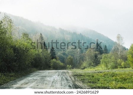 Autumn landscape. Foggy day background. Bieszczady National Park in Poland. Muddy village road. Rainy day. Mountain forest in Poland Europe. Narrow wild nature alley. Fall season scenery.