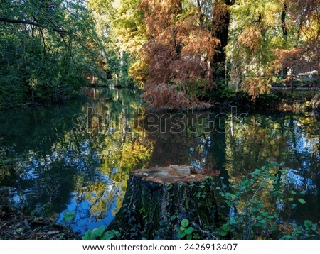Autumn in the Montanelli park at Milan, Lombardy, Italy