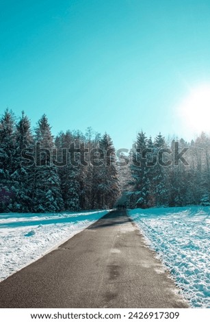Winter scene, road to the forest. On a beautiful winter day, snow-covered Christmas trees under a blue sky.