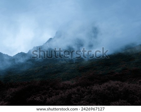 Fog and low clouds roll down the sides of a forested mountain, creating a striking play of chiaroscuro, similar to a dramatic painting Royalty-Free Stock Photo #2426967127