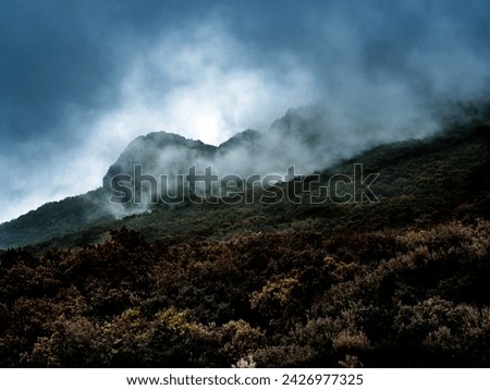 Fog and low clouds roll down the sides of a forested mountain, creating a striking play of chiaroscuro, similar to a dramatic painting Royalty-Free Stock Photo #2426977325