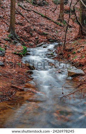 cascades on forest creek near Krupka in North Bohemia