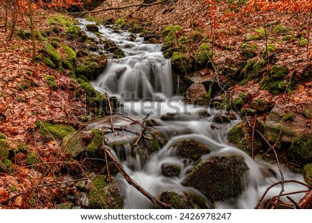 cascades on forest creek near Krupka in North Bohemia