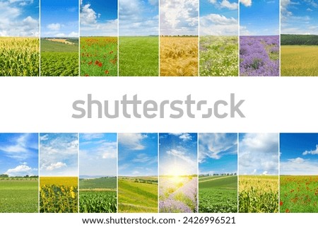 Agricultural fields and blue sky. Photo collage. There is free space for text.