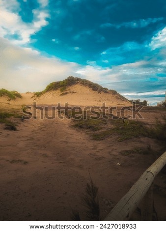 Dunes with green grass, Summer weather, sunny day, Relaxing day, Dramatic clouds, Blue sky, photo at Praia da Pipa - Rio Grande do Norte, Brazil