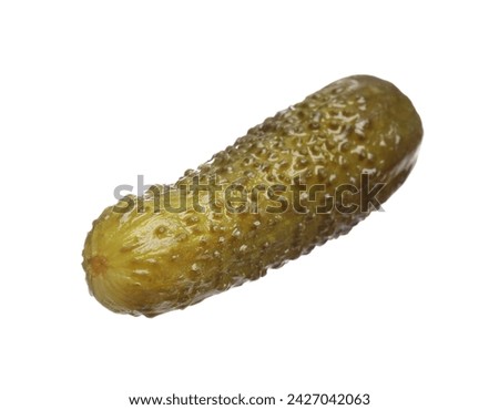 One tasty pickled cucumber isolated on white