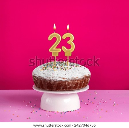 Birthday cake with number 23 candle on pink background