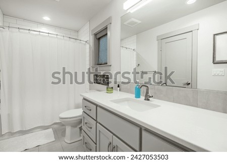 Interior of bathroom powder room with grey walls wooden cabinets white granite marble countertops white sink laundry room with appliances and decoration Royalty-Free Stock Photo #2427053503
