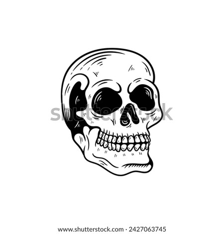 Monochrome illustration of skull. On white background
