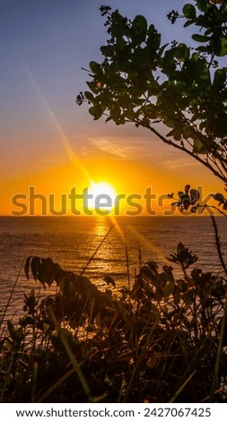 Beautiful sunrise between bushes and over the sea waters