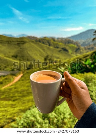 A cup of tea with ultimate beautiful background of cameron valley in cameron highlands Malaysia