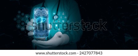 The doctor shows the liver on a cell phone. Isolated. Hepatologist model of human organ. Examination for the detection of gastroenterological anomalies. Human organ in digital format on cyber backgrou Royalty-Free Stock Photo #2427077843