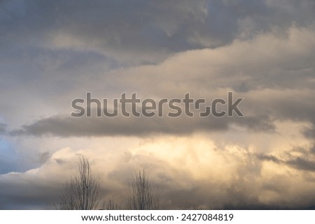 Evening light in a dramatic stormy sky with gray clouds and silhouettes of leafless deciduous trees, as a nature background