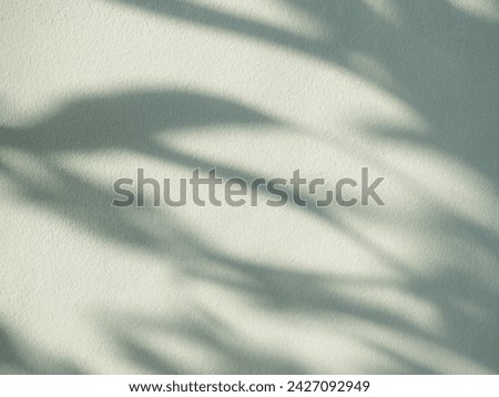 Green Beige Background Shadow Leaf Abstract Minimal Eco Evergreens Environment Presentation Mockup Product Backdrop Effect Wall Floor blur Cement, Temaplate Scene Display Marble Empty Fasion.