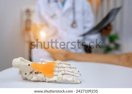 foot bone focus picture An orthopedic surgeon or therapist is showing a foot bone model and explaining to a patient the foot bone problems. health care concept