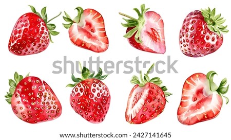 Fresh strawberry watercolor fruit hand painted. Vegetable red fruit summer isolated on white background. Red berry fruit illustration