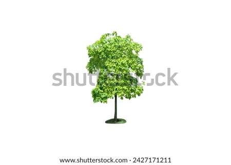 Tree picture isolated on white background.