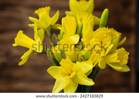 Yellow narcissus and daffodil on rustic wooden background, floral nature photography, Easter wallpaper