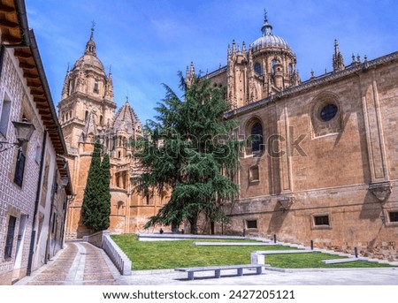 Cathedral of Salamanca. Castilla León. Spain Royalty-Free Stock Photo #2427205121