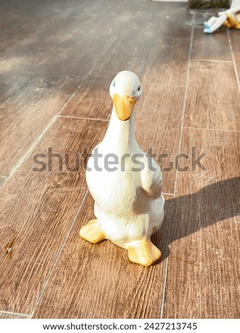 a white duck sitting on a wooden floor