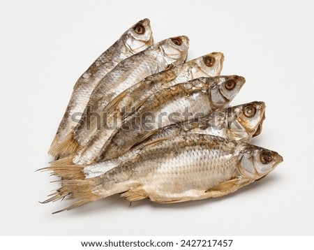 dried roach isolate on a white background