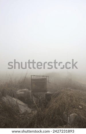 Dry trench with plants in it between fields on a foggy day in the italian countryside