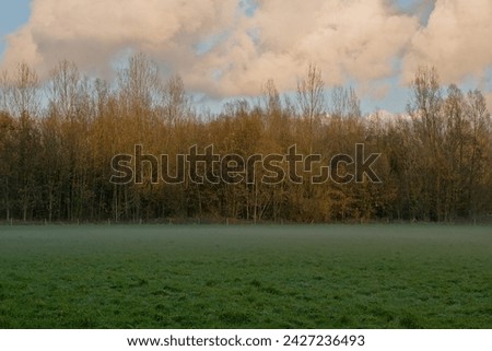 Low morning mist and cloudy sky over a meadow with bare forest behind in Scheldemeersen nature reserve, Merelbeke, Ghent, Belgium Royalty-Free Stock Photo #2427236493
