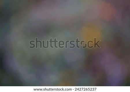 Blurred multicolored background. Leaves and wildflowers. Spot.