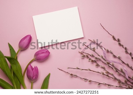 Mother's Day or International Womens-day concept. Top view of white paper blank, fresh tulips and pussy willow branches on pink background. Flat lay. Mock up. Space for text.