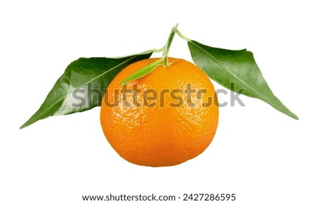 orange isolated lying on the box with other oranges close up picture