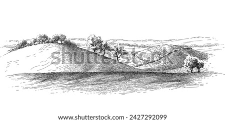 Green grass field on small hills. Meadow, alkali, lye, grassland, pommel, lea, pasturage, farm. Rural scenery landscape panorama of countryside pastures. Vector vintage sketch illustration Royalty-Free Stock Photo #2427292099