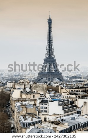 Eiffel Tower rooftops of Paris