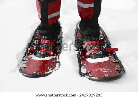 young sportsman walks in red snowshoes and leggings on snow, close-up view of legs, winter hiking concept, active lifestyle