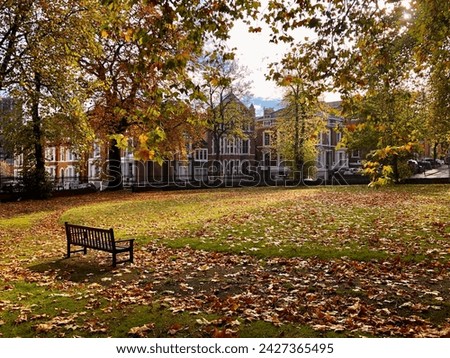 Autumn Blessing, a prefect place for reading Royalty-Free Stock Photo #2427365495
