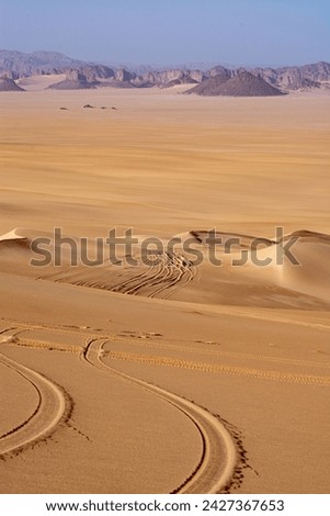 Landscape of Erg Admer in the Sahara desert, Algeria. The golden sand of Erg Admer with, in the distance, the rock formations of Tassilis. In the foreground, we can see the tracks left by jeep tires Royalty-Free Stock Photo #2427367653
