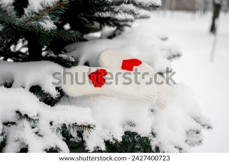 Warm white mittens with a heart on a snow-covered branch of a fir tree in the park, a place for text in the snow
