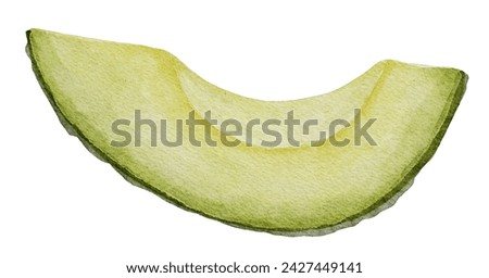 Avocado Slice Watercolor illustration. Hand drawn clip art on isolated white background. Drawing of a piece of Fruit. Botanical painting of vegetable. Sketch of a plant for recipe and cookbook design.