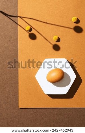 Brown egg on orange and brown background, directly above shot. Studio shot with sunlight effect and sharp shadows.